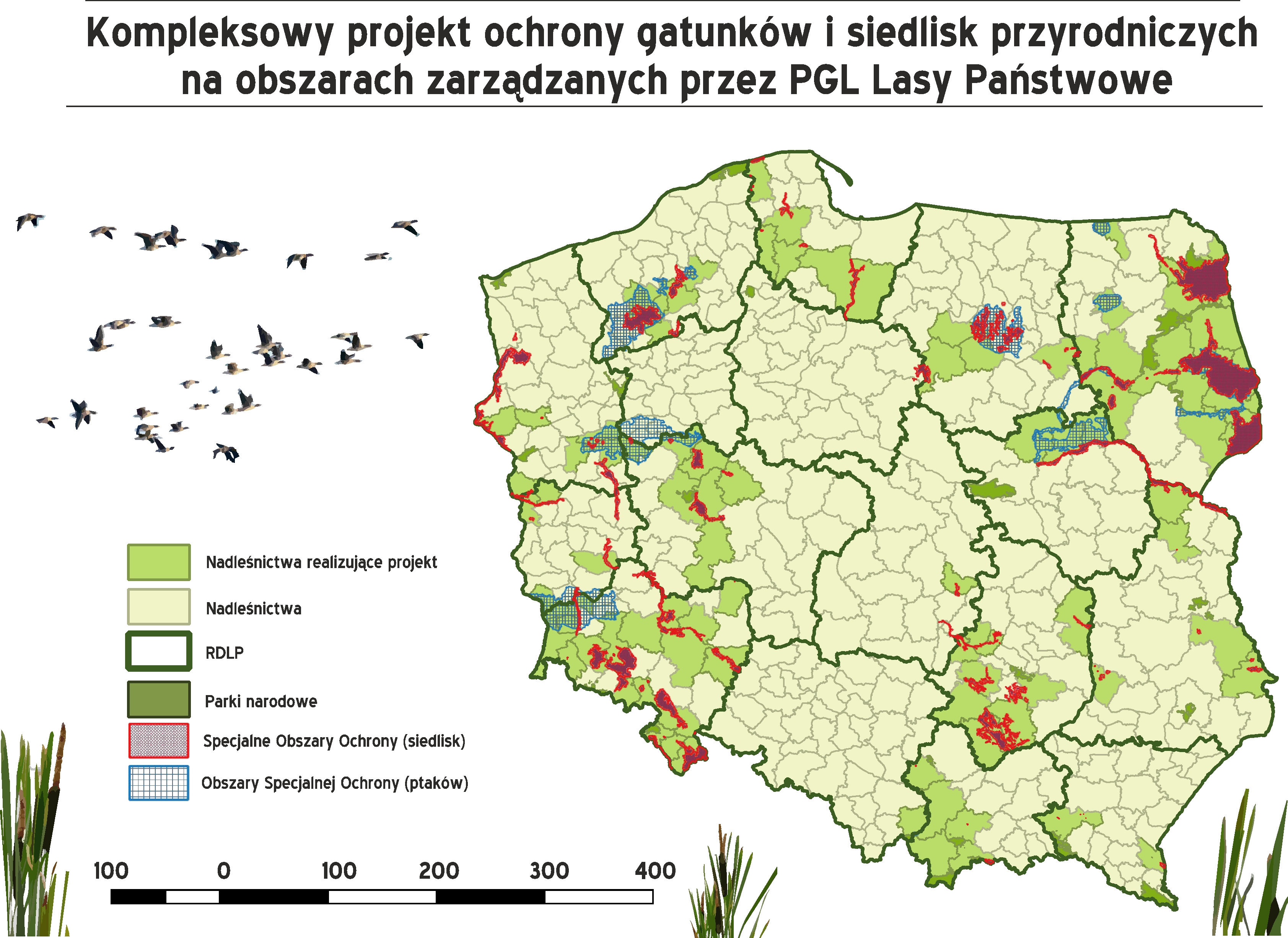 Projekty I Fundusze Nadlesnictwo Koscierzyna Lasy Panstwowe