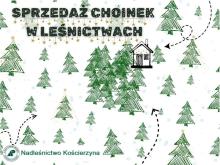 Sprzedaż choinek w Leśnictwach