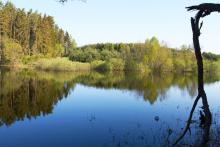 Trwa akcja "Majówka 25"